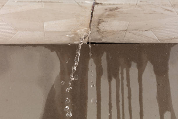 Professional Water Damage Repair technician working in Page, WV